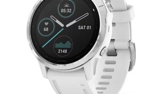 Garmin Fenix 6S White