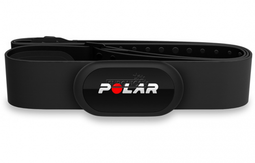 Polar H10