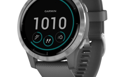 Garmin Vivoactive 4 Silver and Shadow Gray band