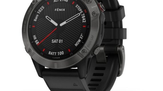 Garmin Fenix 6 Sapphire - Gray with Black Band