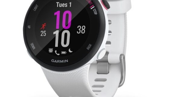 Garmin Forerunner 45S White