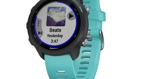 Garmin Forerunner 245 Music Wave Band