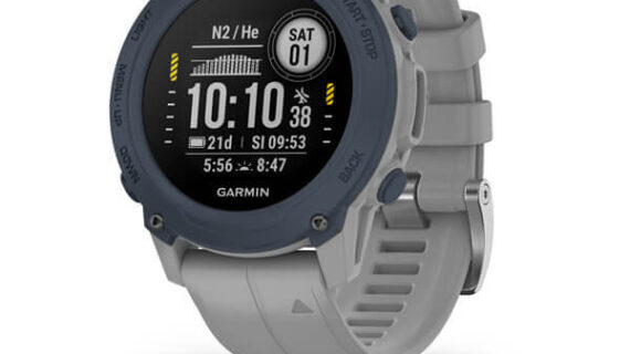 Garmin Descent G1 Powder Gray