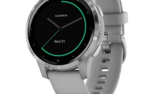 Garmin Vivoactive 4s - Silver Stainless Steel Bezel With Powder Gray Case
