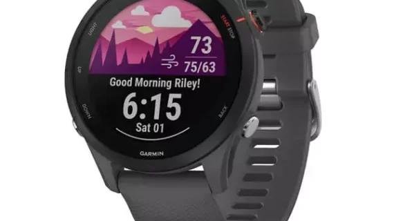 Garmin Forerunner 255 — Slate Gray
