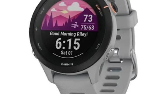 Garmin Forerunner 255S - Powder Gray