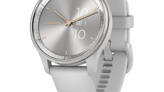 Garmin Vivomove Trend - Silver