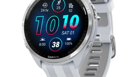 Garmin Forerunner 965 - Whitestone/Gray