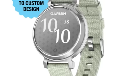 Garmin Lily 2 - Classic Silver with Sage Gray Nylon Band